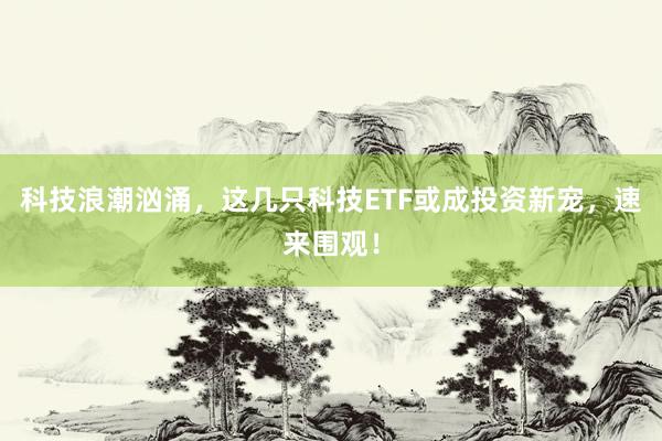 科技浪潮汹涌,这几只科技ETF或成投资新宠,速来围观!