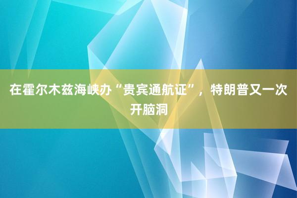 在霍尔木兹海峡办“贵宾通航证”,特朗普又一次开脑洞