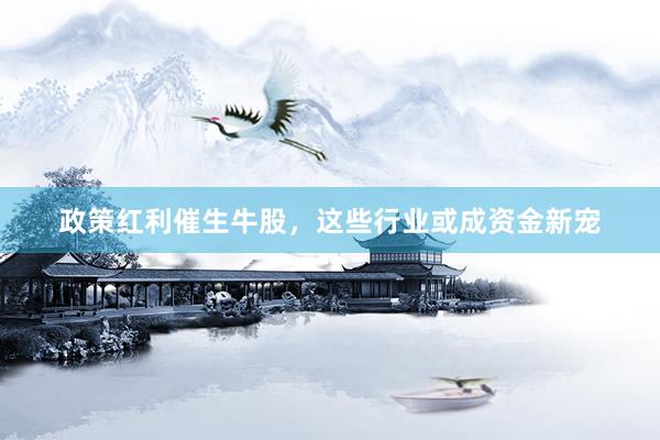 政策红利催生牛股，这些行业或成资金新宠