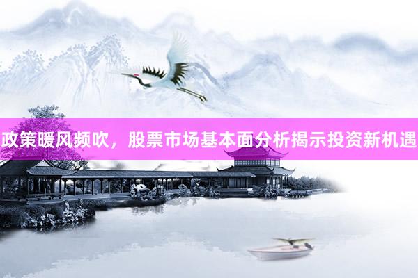 政策暖风频吹,股票市场基本面分析揭示投资新机遇