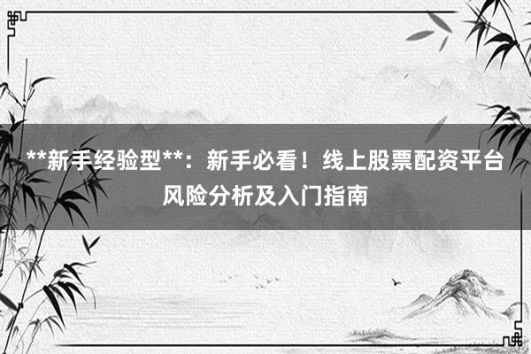 **新手经验型**：新手必看！线上股票配资平台风险分析及入门指南
