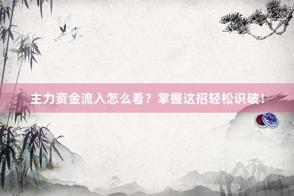 主力资金流入怎么看？掌握这招轻松识破！